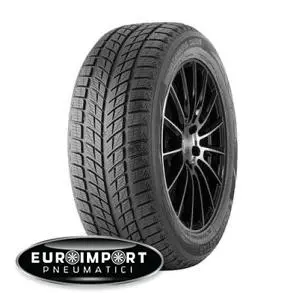 Double star Winterking dw09 245/45 R18 96 T  TL